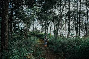 BIB: 
                            <button type="button" onclick="openModal(25657891)" class="btn btn-primary btn-sm float-right btn-popup" data-toggle="modal" data-target=".modal-high-quality">
                        <i class="fas fa-shopping-cart"></i> Add to Cart
                    </button>
                                            <button type="button" onclick="isThisMe(25657891, true)" class="btn btn-success btn-sm float-right btn-popup btn-isme hidden" data-toggle="tooltip" data-placement="bottom" title="นี่คือรูปของคุณใช่ไหม คลิกที่นี่เพื่อเอาเข้าอัลบั้ม">
                        <i class="fas fa-plus"></i> Add to album
                    </button>
                    <button type="button" onclick="isThisMe(25657891, false)" class="btn btn-warning btn-sm float-right btn-popup btn-isnotme hidden">
                        <i class="fas fa-ban"></i> Remove from album
                    </button>